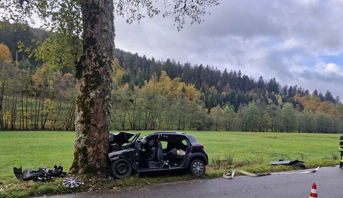 Zu einem Unfall ist es bei Bad Wildbad gekommen.