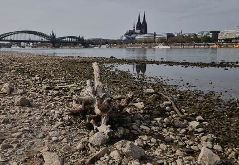 Niedrigwasser am Rhein in Köln