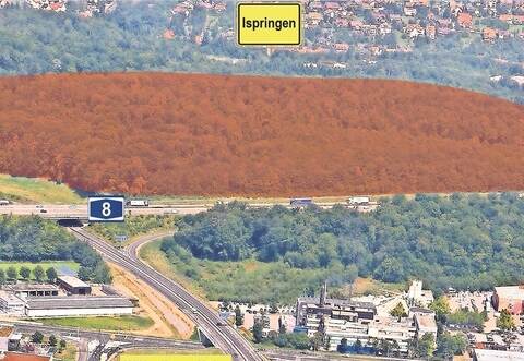 Den „Klapfenhardt“-Wald (rot eingefärbt) zwischen Pforzheims Wilferdinger Höhe und Ispringen will die Stadt in ein großes Gewerbegebiet verwandeln.