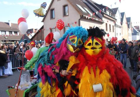 Die "Spaßvögel" beim Faschingsumzug in Singen.
