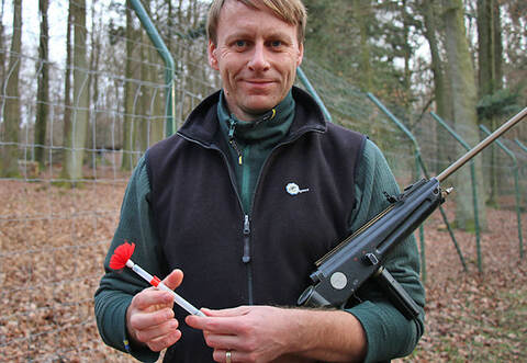 Wildpark-Förster Carsten Schwarz mit seinem Betäubungsgewehr und einem Narkosepfeil. Foto: Hauser