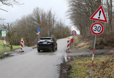 Autos und Busfahrgäste kommen sich bei den Ersatzhaltestellen auf der Ellmendinger Straße gefährlich nahe.