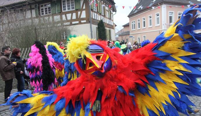 Kunterbunte Spaßvögel bahnten sich den Weg durchs Narrenvolk in Singen.