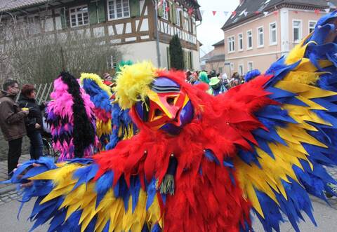 Kunterbunte Spaßvögel bahnten sich den Weg durchs Narrenvolk in Singen.
