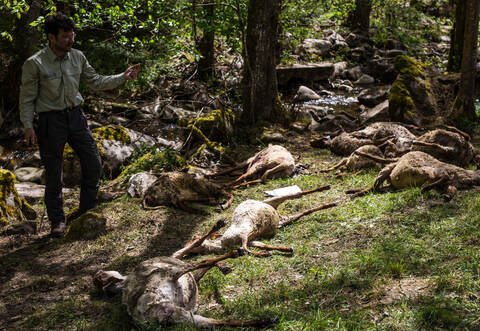 Ein Bild des Grauens bot sich Anfang April in Bad Wildbad.