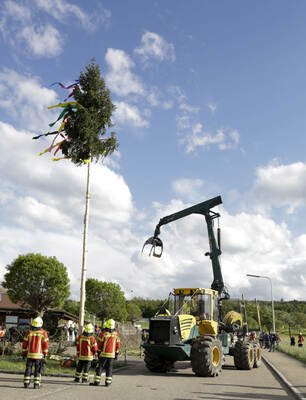 Der 15 Meter hohe Maibaum wurde in Öschelbronn mit einem Forstgerätz aufgestellt. Der 15 Meter hohe Maibaum wurde in Öschelbronn mit einem Forstgerätz aufgestellt.