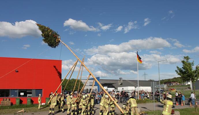 Mit Stangen und Seilen Stück für Stück in die Höhe hievten die Kameraden der Freiwilligen Feuerwehr Remchingen Nord den rund zwölf Meter hohen Nadelbaum aus dem Remchinger Wald. Foto: Zachmann