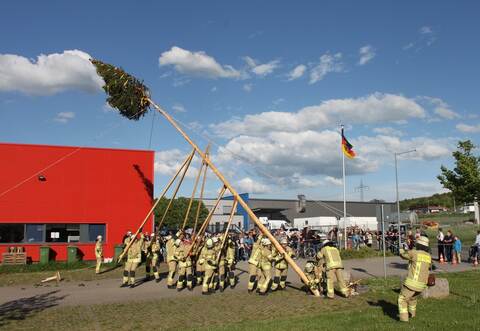Mit Stangen und Seilen Stück für Stück in die Höhe hievten die Kameraden der Freiwilligen Feuerwehr Remchingen Nord den rund zwölf Meter hohen Nadelbaum aus dem Remchinger Wald. Foto: Zachmann
