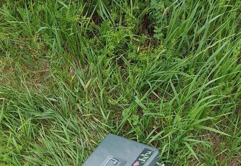 Die geklaute und anschließend wiedergefundene Geldkassette aus Illingen.