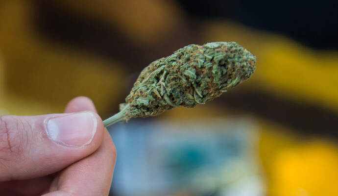 Der 39-Jährige hatte Cannabis konsumiert, als er von der Polizei erwischt wurde. Der 39-Jährige hatte Cannabis konsumiert, als er von der Polizei erwischt wurde.