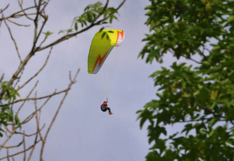 Ein Gleitschirmpilot ist am Dienstag in Bad Wildbad unfreiwillig in einem Baum gelandet.