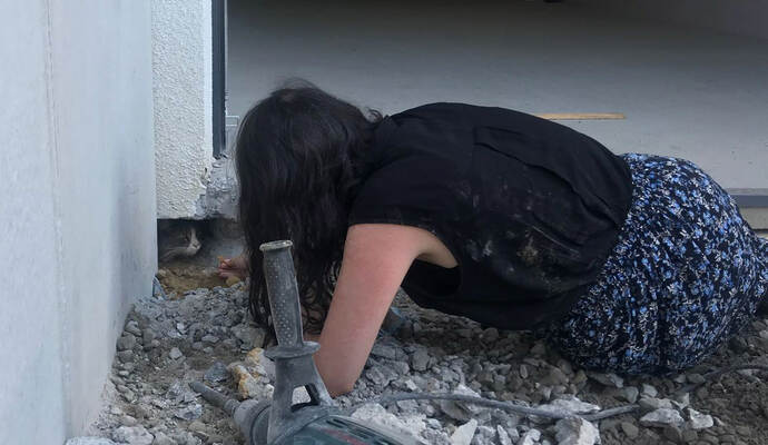 Jimmy scheint sein Glück noch gar nicht zu realisieren und traut sich nicht aus der Garage. Jimmy scheint sein Glück noch gar nicht zu realisieren und traut sich nicht aus der Garage.