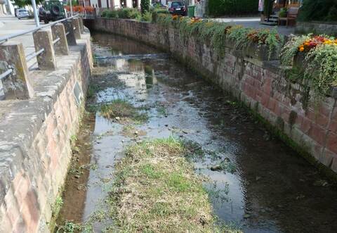 Niedrigwasser im Arnbach...