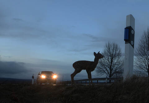 Die 18-Jährige wollte einem Reh ausweichen und verlor die Kontrolle über ihr Fahrzeug.