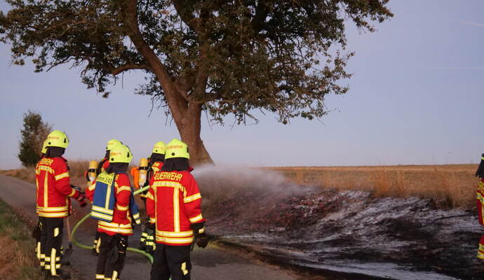 Die Feuerwehr war mit einem Löschzug vor Ort, um gegen die Flammen auf der Wiese zu kämpfen.