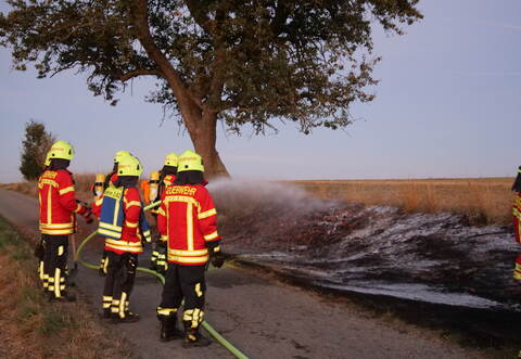 Die Feuerwehr war mit einem Löschzug vor Ort, um gegen die Flammen auf der Wiese zu kämpfen.