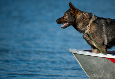 Leichenspürhunde sollen an der Ehmetsklinge die Fährte des 25-jährigen Vermissten aufnehmen.