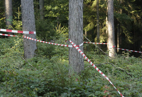 Im Wald neben der L340 zwischen Dobel und Bad Herrenalb suchte die Polizei intensiv nach Spuren des Tötungsdelikts.