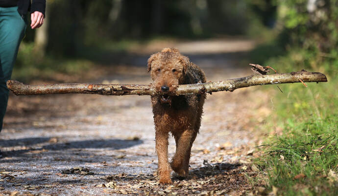 Symbolbild. Der 48-Jährige fühlte sich offenbar in seiner Nachtruhe gestört. Symbolbild. Der 48-Jährige fühlte sich offenbar in seiner Nachtruhe gestört.