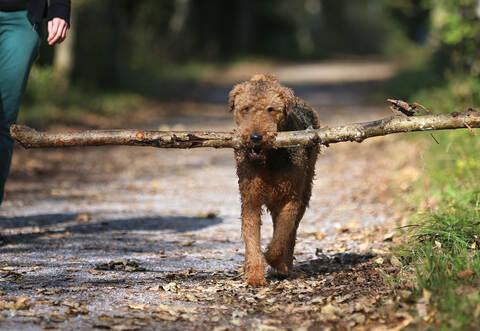 Symbolbild. Der 48-Jährige fühlte sich offenbar in seiner Nachtruhe gestört.