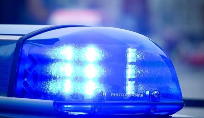 Das Blaulicht an einem Polizeiauto leuchtet. Foto: P. Pleul/Archiv