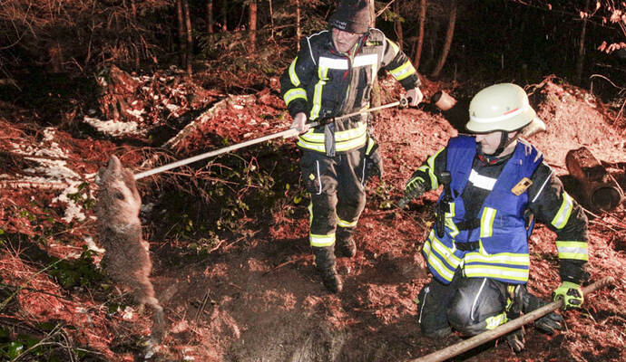 Die Feuerwehrleute befreiten den Fuchs mit Hilfe einer speziellen Schlinge aus seiner misslichen Lage.
