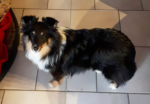 Fine wurde tagelang vermisst, ist nun endlich wieder aufgetaucht.