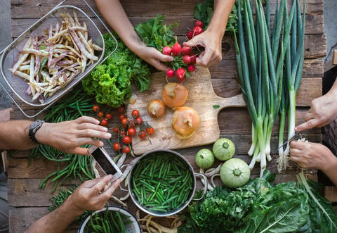 Bunt, bunter, Gemüse: Farbige Karotten und Co. eignen sich auch gut als Dekoration für das Foto.