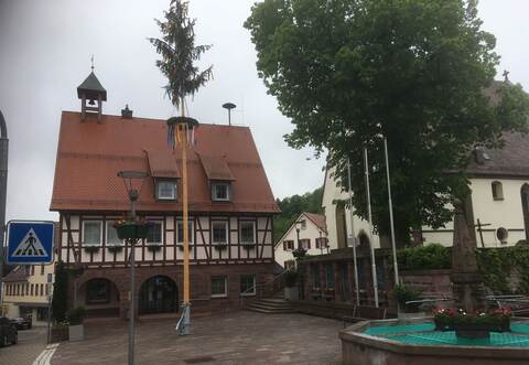 Er wurde Opfer von Sabotage: Der Maibaum auf dem Haiterbacher Marktplatz.