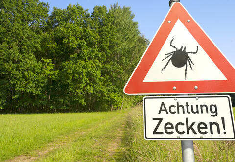 Häufig passiert die Infektion im eigenen Garten oder bei Spaziergängen in der Natur. Die Zecke klettert beispielsweise auf einen Grashalm oder ein Gebüsch. Kommt ein Tier oder ein Mensch vorbei, wird sie bei Kontakt abgestreift und hält sich fest.