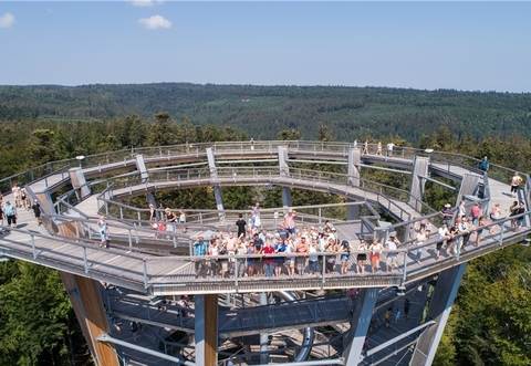 Der 40 Meter hohe Turm des Baumwipfelpfads bringt zahlreiche Besucher auf den Bad Wildbader Sommerberg. Das gefällt jedoch nicht allen in der Kurstadt.
