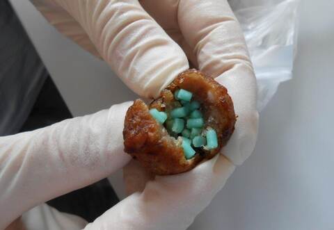 Eigentlich sind sie für Menschen gedacht und dann ein Genuss, doch ein Unbekannter hat in Knittlingen Frikadellen mit Rattengift versehen.