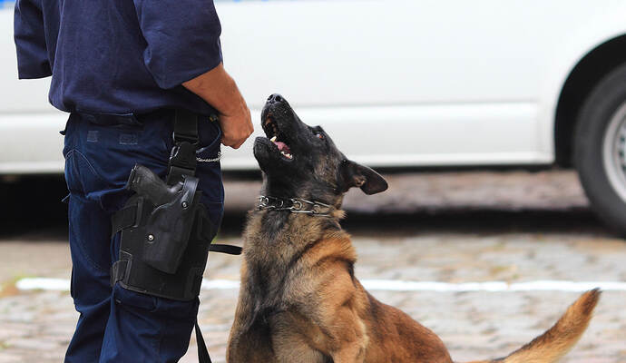 Auch ein Polizeihund konnte in Neuhausen keine Einbrecher im Discounter aufspüren.