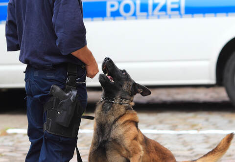 Auch ein Polizeihund konnte in Neuhausen keine Einbrecher im Discounter aufspüren.