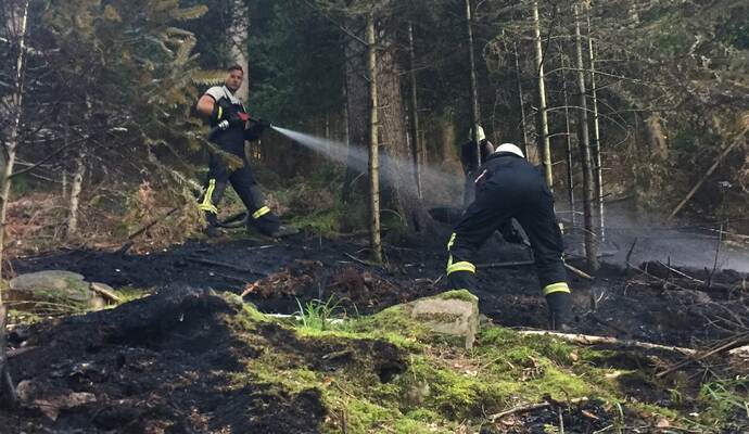 An vier Stellen brannte es im Wald in Neuenbürg.