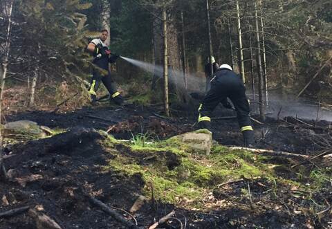 An vier Stellen brannte es im Wald in Neuenbürg.