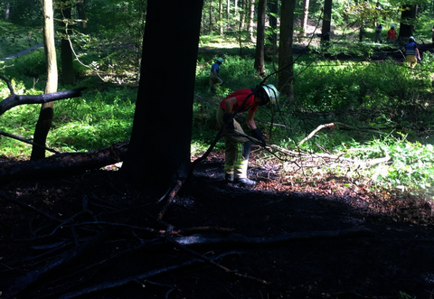 Ein Tag nach dem Waldbrand in Neuenbürg stieg eine Rauchsäule über dem Wald in Remchingen auf.