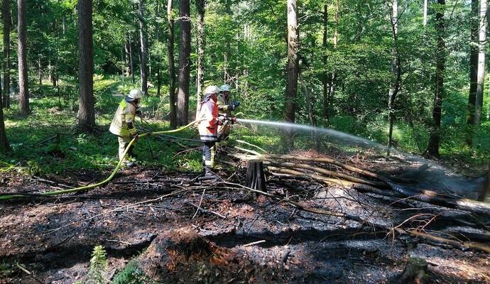 Recht schnell gelöscht waren die Glutbrände im Wald hinter dem Wilferdinger Freibad. Feuerwehr und Polizei gehen von Brandstiftung aus. Recht schnell gelöscht waren die Glutbrände im Wald hinter dem Wilferdinger Freibad. Feuerwehr und Polizei gehen von Brandstiftung aus.