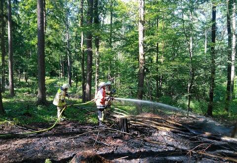 Recht schnell gelöscht waren die Glutbrände im Wald hinter dem Wilferdinger Freibad. Feuerwehr und Polizei gehen von Brandstiftung aus.