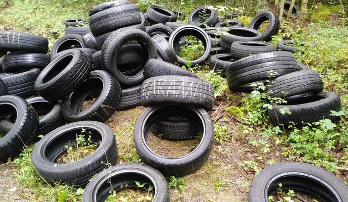 Diese Reifen wurden bei Vahiningen an der Enz im Grünen abgelagert.