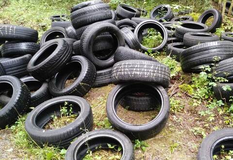 Diese Reifen wurden bei Vahiningen an der Enz im Grünen abgelagert.