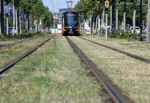 Eine Straßenbahnverbindung ist für Keltern und Straubenhardt derzeit noch in weiter Ferne.