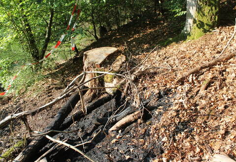 Informationen der Polizei zufolge handelt es sich bei den erneuten Waldbränden um Brandstiftung.
