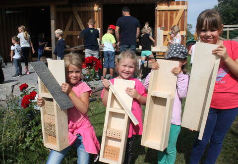 Vom bloßen Holz zum fertigen Haus: Während hinten an der Fronberg-Hütte gewerkelt wird, präsentieren Clara Zimmermann (von links), Lara Treiber, Nele Zendler und Anne Treiber die Fortschritte beim Bau der Insektenhotels.