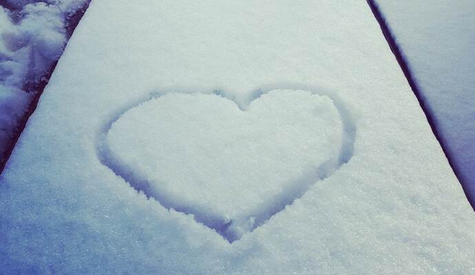 Auf dem Bad Wildbader Sommerberg gelang Karo Schwerdtle dieses Foto.