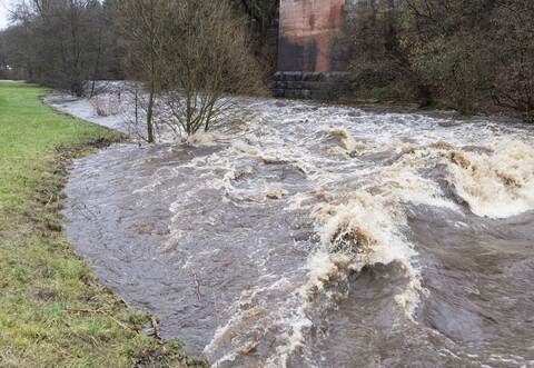 Deutlich höher als üblich steht der Pegel der Enz am Montagvormittag.