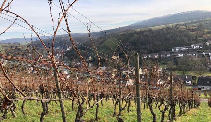 Die Wanderwege rund um Knittlingen sind bei Spaziergängern beliebt.