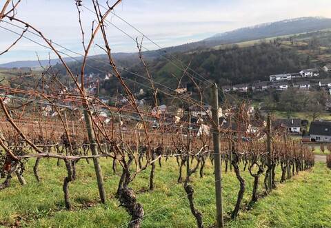 Die Wanderwege rund um Knittlingen sind bei Spaziergängern beliebt.