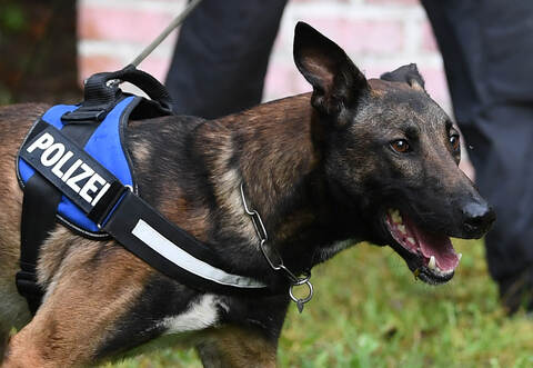 Ein belgischer Schäferhund griff in Mühlacker eine Frau ein. Die Hundehalterin ist Beamtin einer Polizeihundeführerstaffel.