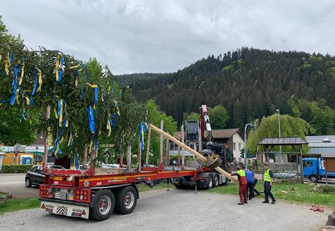 Am Dienstag wurde kurzerhand ein neuer Maibaum in Calmbach aufgestellt.